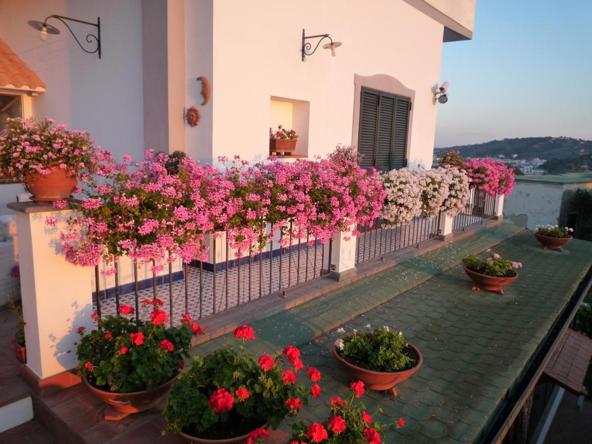 B&B Dea Fortuna Bacoli Exterior photo